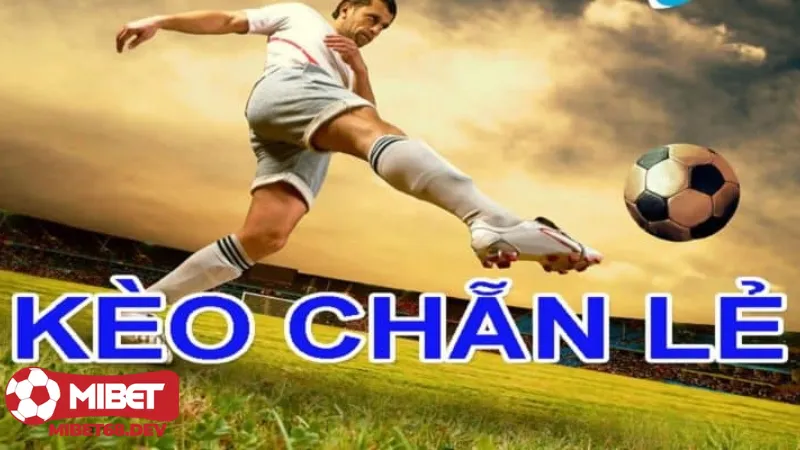 Kèo chẵn lẻ toàn trận Mibet người yêu thích cá cược tỷ lệ cao 2 Kèo chẵn lẻ toàn trận Mibet là gì?